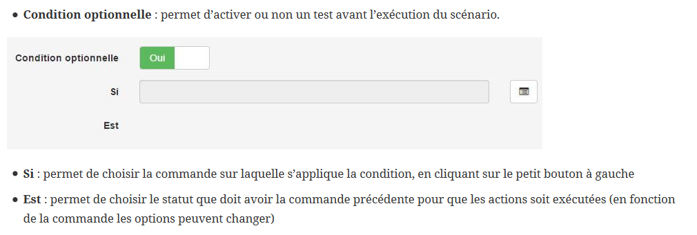 condition optionnelle.png