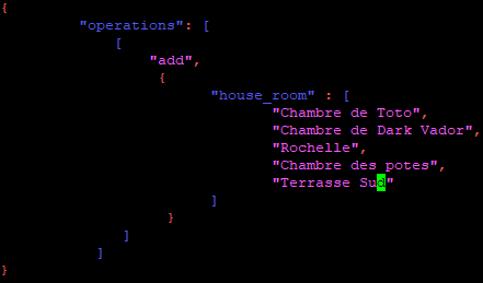 Fichier JSON.PNG