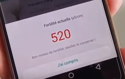 fertilité.png