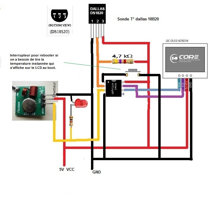 cablage_sonde_CESI.jpg