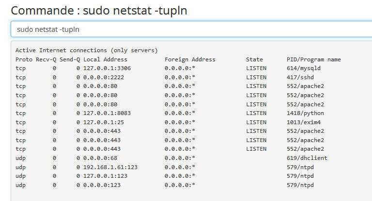 Sudo netstat.jpg