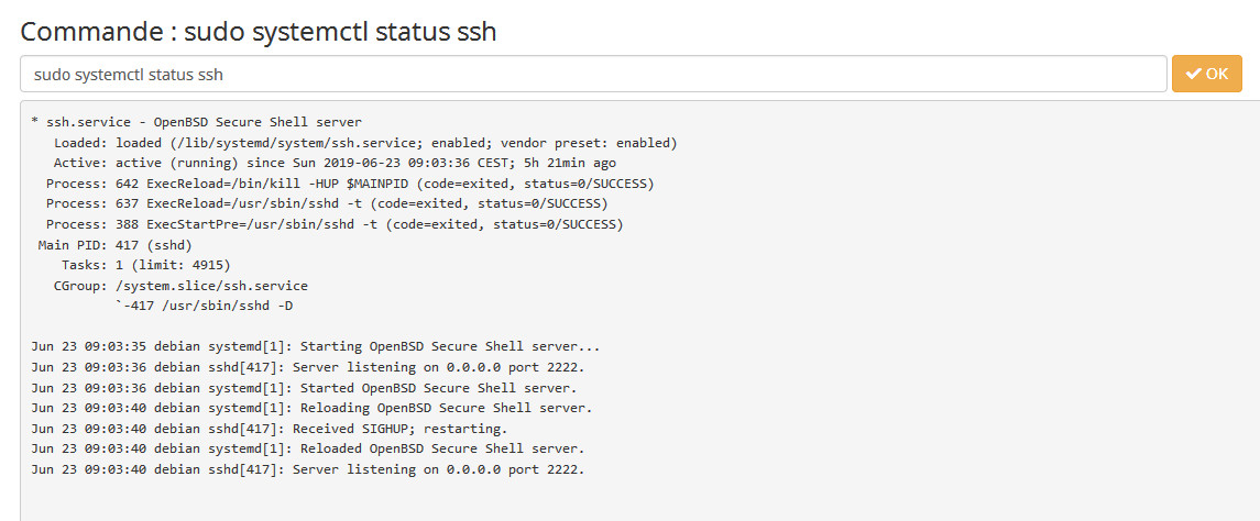 status ssh.jpg